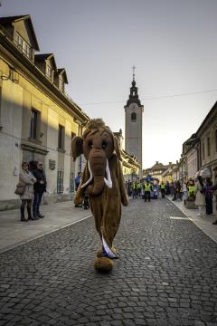 Tradicionalni Kamniški karneval 2025 (34)